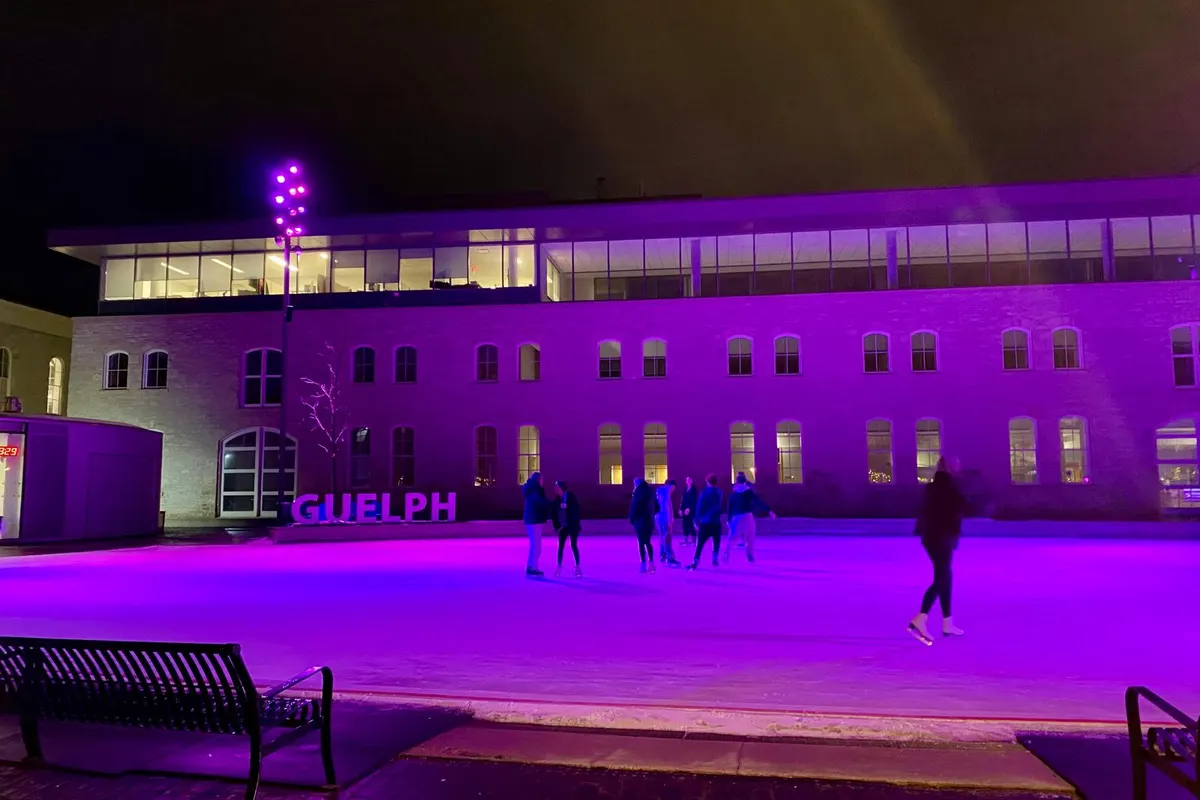 Guelph Market Square illuminated in purple for Rare Disease Day